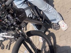 -道路口单车爱瓦士dahon大行