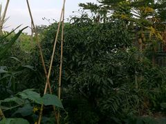 -润记农家菜