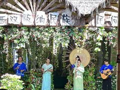 -西双版纳原始森林公园