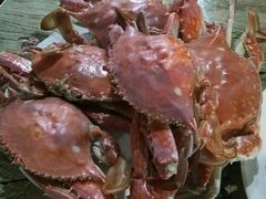 -九龙餐厅(大沽路店)