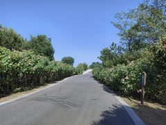 -蜀冈西峰生态公园