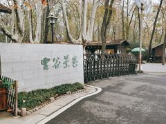-灵谷景区