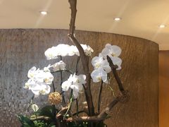 -南京金陵饭店