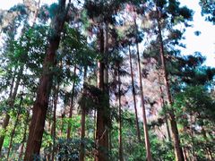 -雁荡山风景名胜区-小龙湫