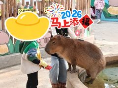 -昆明动物园