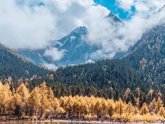 -靖西鹅泉风景区