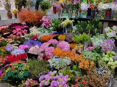 -双季花艺园艺市场(浦东店)