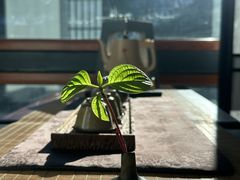 -云座·时光·观景咖啡厅(五爷庙店)