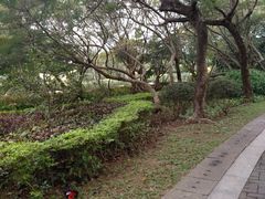 -人民公园(罗湖区)