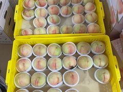 -老袁家蜜桃农场·阳山水蜜桃