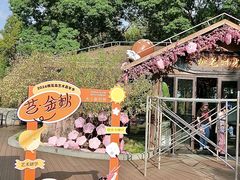 -金鸡湖桃花岛