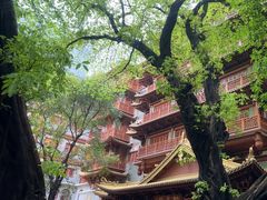 -大佛古寺
