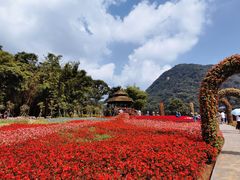 -广州市石门国家森林公园