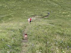 -灵山