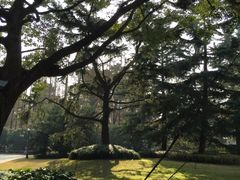 -上海虹桥迎宾馆