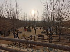 -西部长青自然儿童乐园