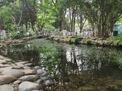 -成都市活水公园