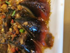 -聚点串吧·北京烧烤(朝北店)