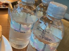 -彩虹云霄拜约克摩天塔