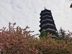 -重庆园博园