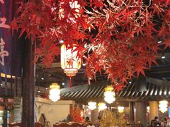 -蓉城老妈火锅(双林路店)
