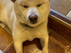 -猫小院猫主题餐厅(南锣旗舰店)