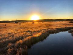 -塞罕坝国家级自然保护区