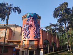 -重庆海昌加勒比海水世界