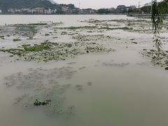 -鸣鹤古镇