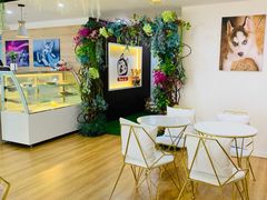 -Husky Go! 哈士奇体验馆·宠物咖啡厅狗咖