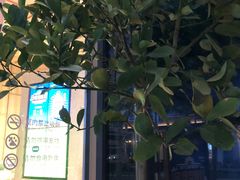 -混果汁(前海嘉里中心店)