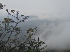 -罗田薄刀峰风景区