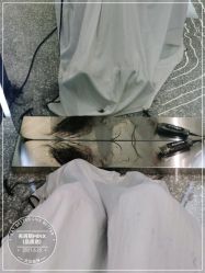 -MINX名珂斯·烫染形象设计