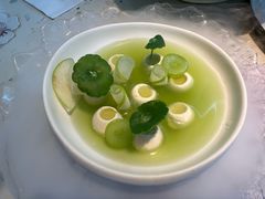 荷塘月色-Tomacado花厨(One ITC店)
