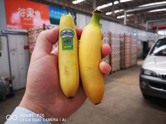 -东方鼎信农副产品交易中心