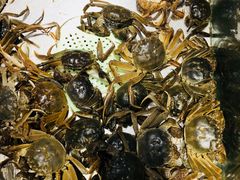 -欢乐牧场海鲜烤肉自助(牡丹园店)