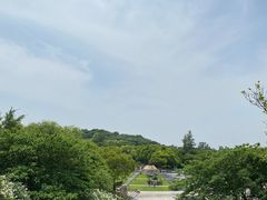 -上海吴淞炮台湾国家湿地公园