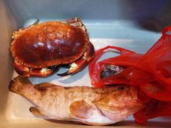 -江杨农产品批发市场