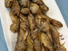 -大连湾旭日·家宴·海肠捞饭(马栏广场店)