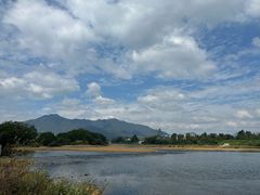 -黄牛肉馆·皖南土菜