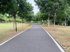 -金银湖国家城市湿地公园