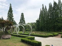 -昆山城市生态森林公园