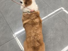 -贝利宠物医院·骨科·眼科·肿瘤转诊中心(南坪诊疗中心)