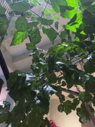 -香秀空间科技抗衰·美容中心