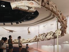 -自贡恐龙博物馆