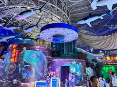 -烟台海昌鲸鲨海洋公园