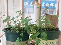 -酒井酱子·深夜食堂(东城汇店)