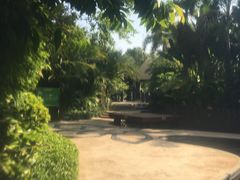 -颐和澜悦欢乐水世界(原颐和温泉城)