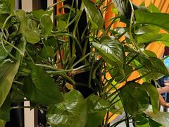 -二分八云雁阁•新晋菜大同味(长治路店)