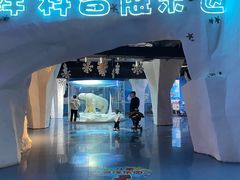 -合肥海洋世界